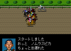 Derby Stallion II (Japan)