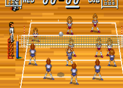 Multi Play Volleyball (Japan)