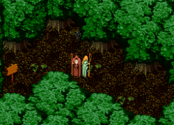 Wondrous Magic (Japan)