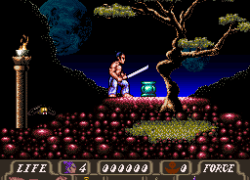 First Samurai (USA)
