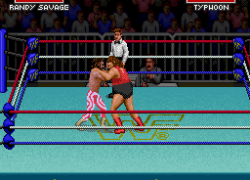 WWF Super WrestleMania (USA)