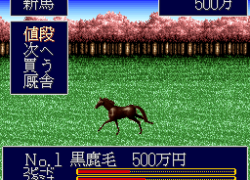 Jumpin' Derby (Japan)