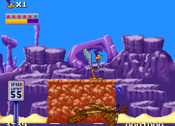 Road Runner (Europe) (Beta)
