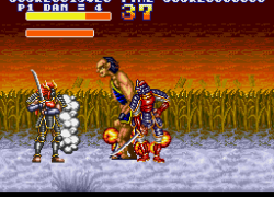 Sengoku Denshou (Japan)
