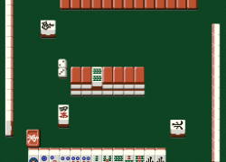 Pro Mahjong Tsuwamono (Japan)