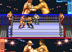 Hammerlock Wrestling (USA)