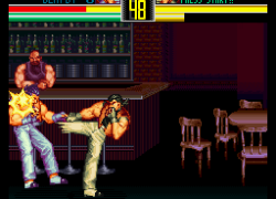 Art of Fighting (USA)