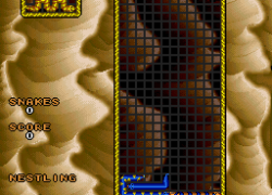 Wild Snake (USA)