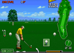 Irem Skins Game, The (USA)