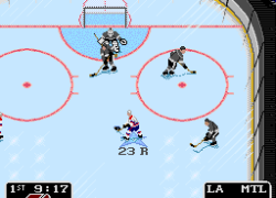 NHL Pro Hockey '94 (Japan)