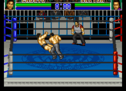 Shin Nihon Pro Wresling Kounin - '94 Battlefield in Tokyo Dome (Japan)