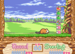 Araiguma Rascal (Japan)