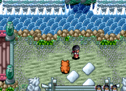 Pocky & Rocky 2 (USA) (Beta)