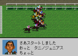 Derby Stallion '96 (Japan)