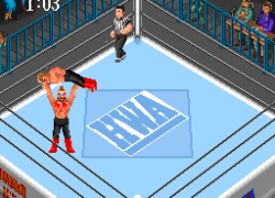 Super Fire Pro Wrestling (Japan)