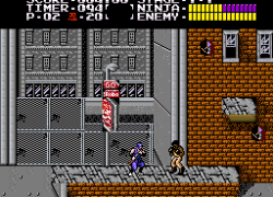 Ninja Gaiden Trilogy (USA)