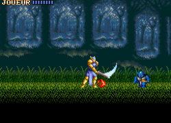ActRaiser (France)