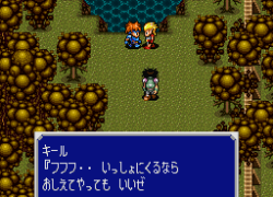 Elfaria II - The Quest of the Meld (Japan)