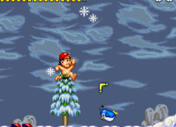Super Adventure Island (USA)