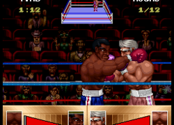 Riddick Bowe Boxing (USA)
