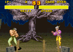 Power Instinct (USA)