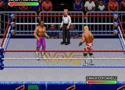 WWF Royal Rumble (Japan)