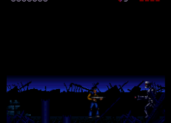 Terminator, The (USA)