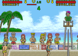 Inazuma Serve da! Super Beach Volley (Japan)